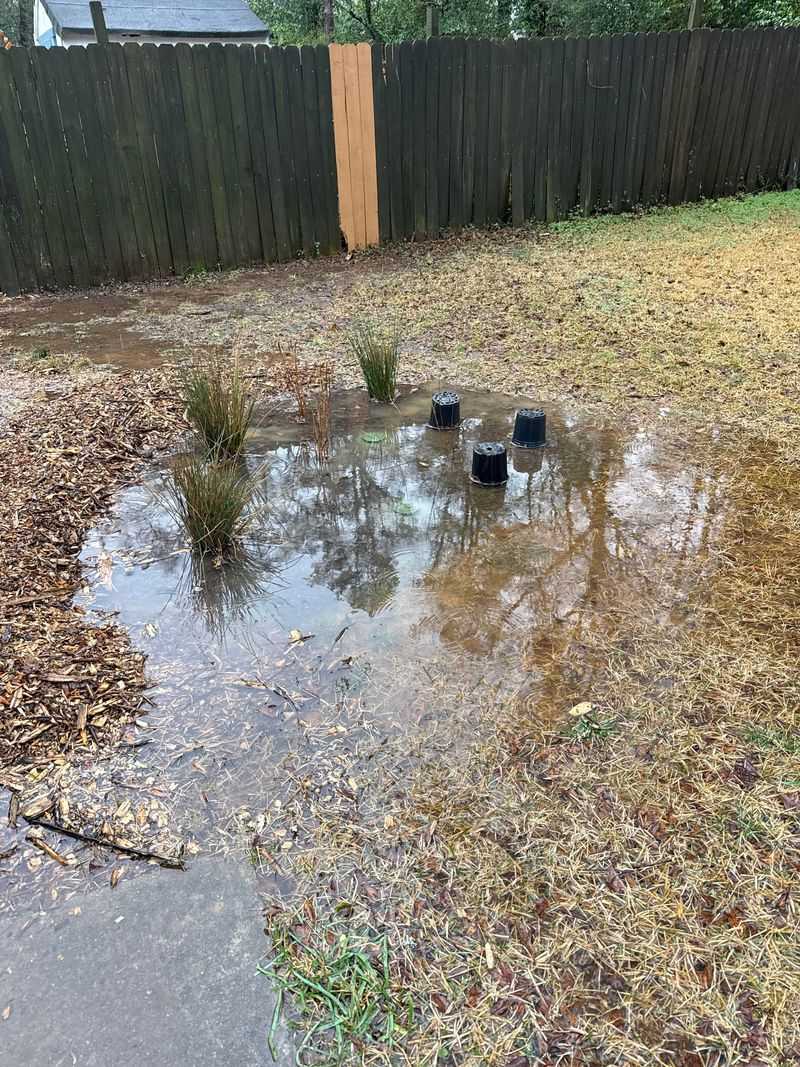 Heavy Rain Can Wash Nutrients Away Heavy Rain Can Wash Nutrients Away