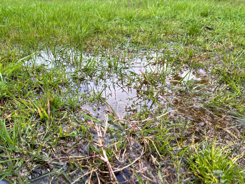 Heavy Rain In The Forecast Means Hold Off