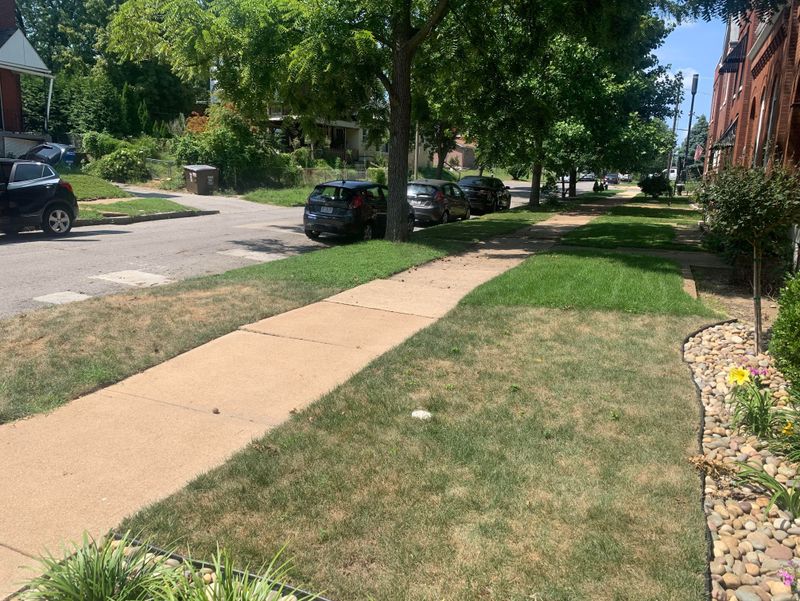 Help Stressed Grass Recover