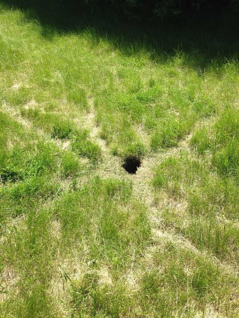 Hidden Exits Make The Den Bigger Than It Looks