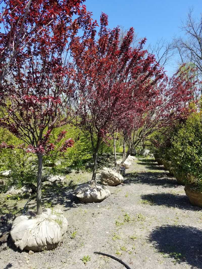 Highland Hill Farm - Fountainville Highland Hill Farm - Fountainville