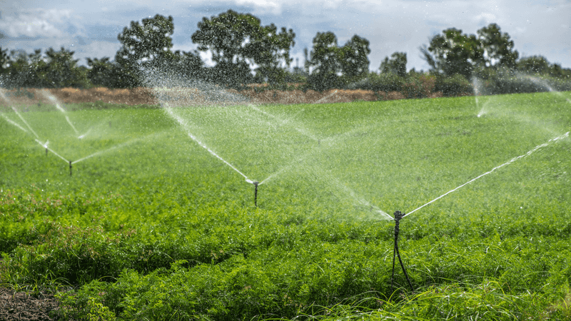 Hold Moisture Around The Shallow Seed Hold Moisture Around The Shallow Seed