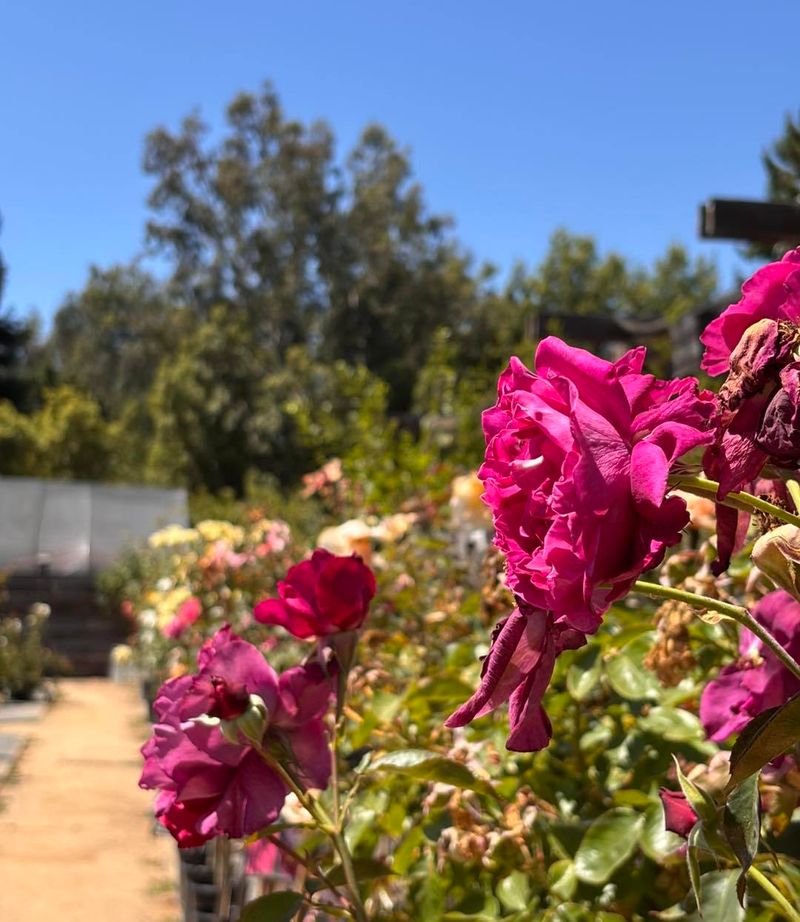 Hold Off On Heavy Pruning For Now