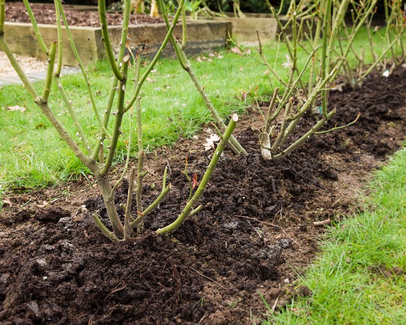 Hold The Winter Mulch Until Later Hold The Winter Mulch Until Later