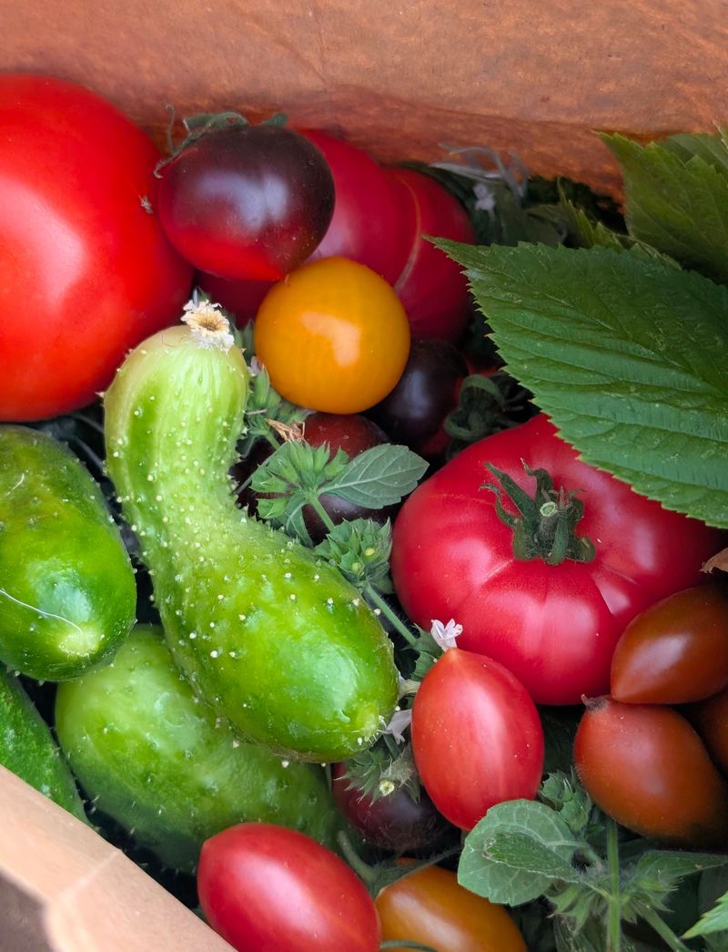 Homegrown Produce Tastes Fresher Than Store-Bought Homegrown Produce Tastes Fresher Than Store-Bought