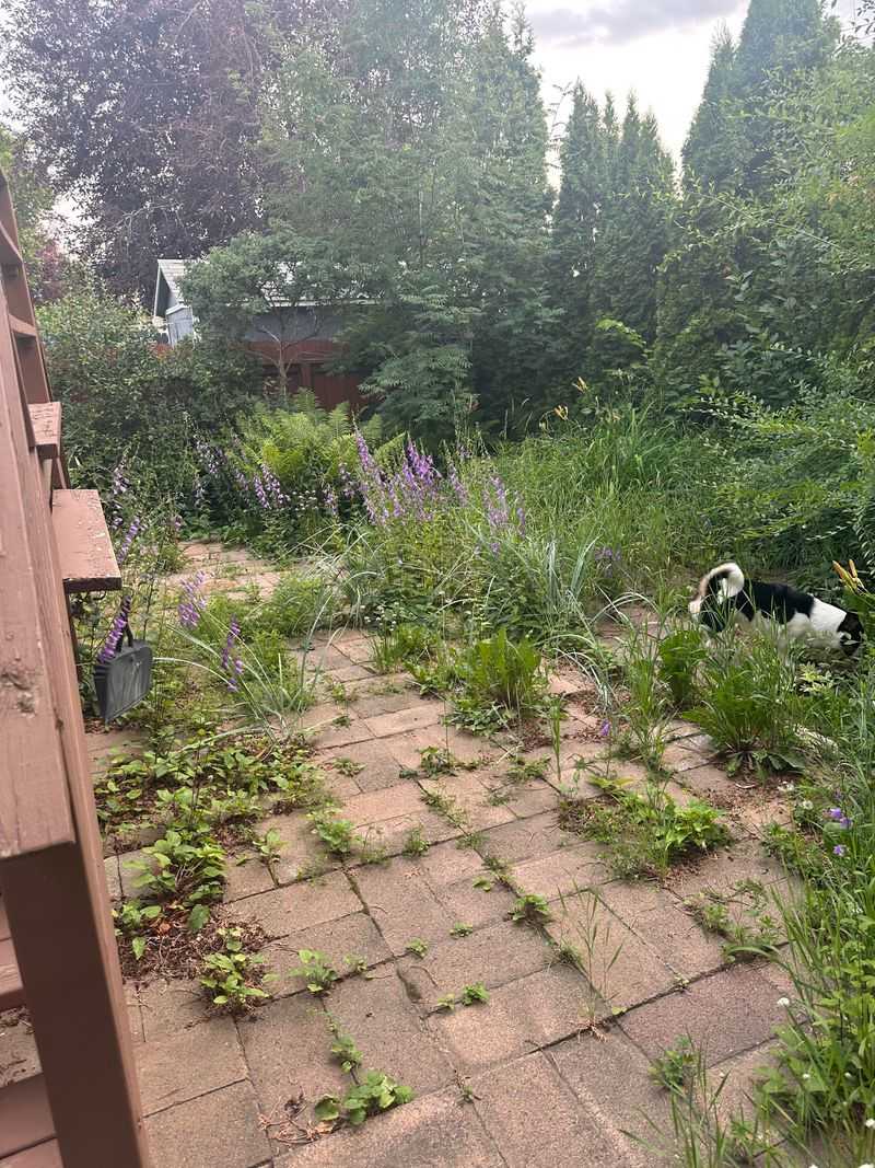 Homeowners Usually Get A Chance To Clean It Up First