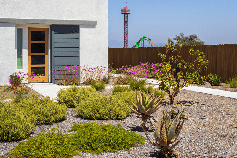 Homeowners Want Low-Maintenance Yards Homeowners Want Low-Maintenance Yards