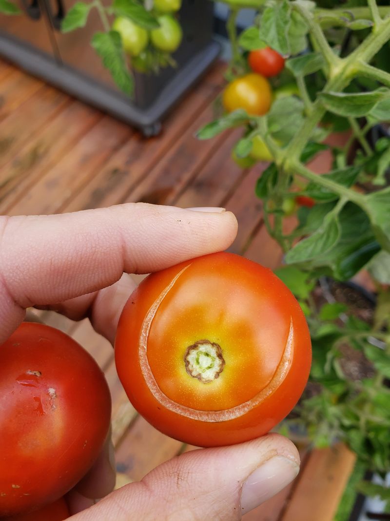 Hot Days Make Moisture Swings Even Worse