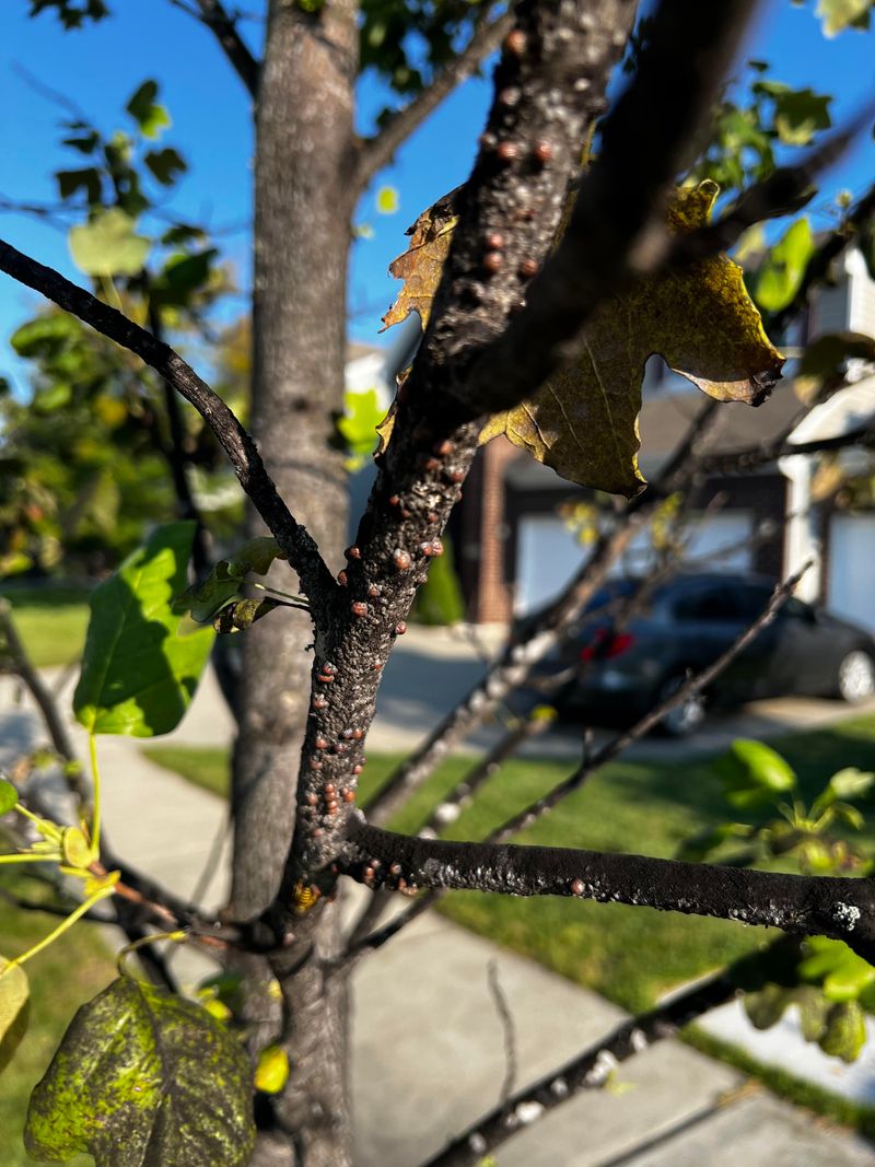 Hot Late-Summer Weather Can Make The Problem More Noticeable Hot Late-Summer Weather Can Make The Problem More Noticeable