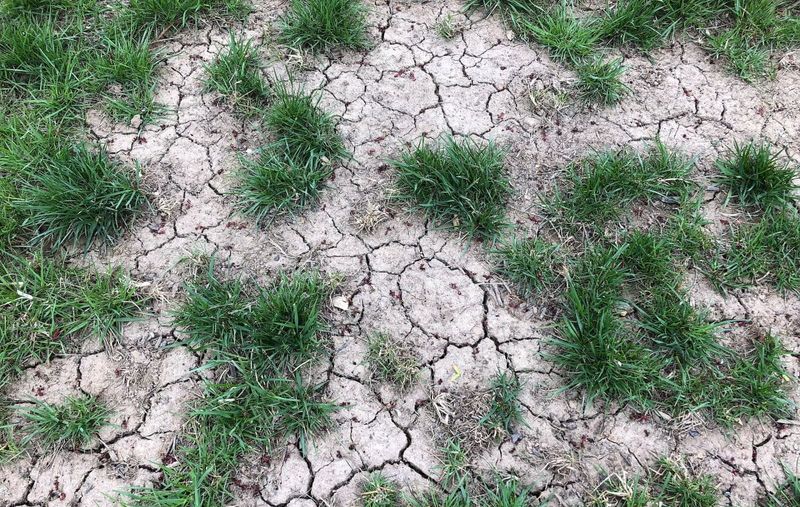 Hot Soil And Dry Weather Make Fertilizer Harder To Use Well Hot Soil And Dry Weather Make Fertilizer Harder To Use Well