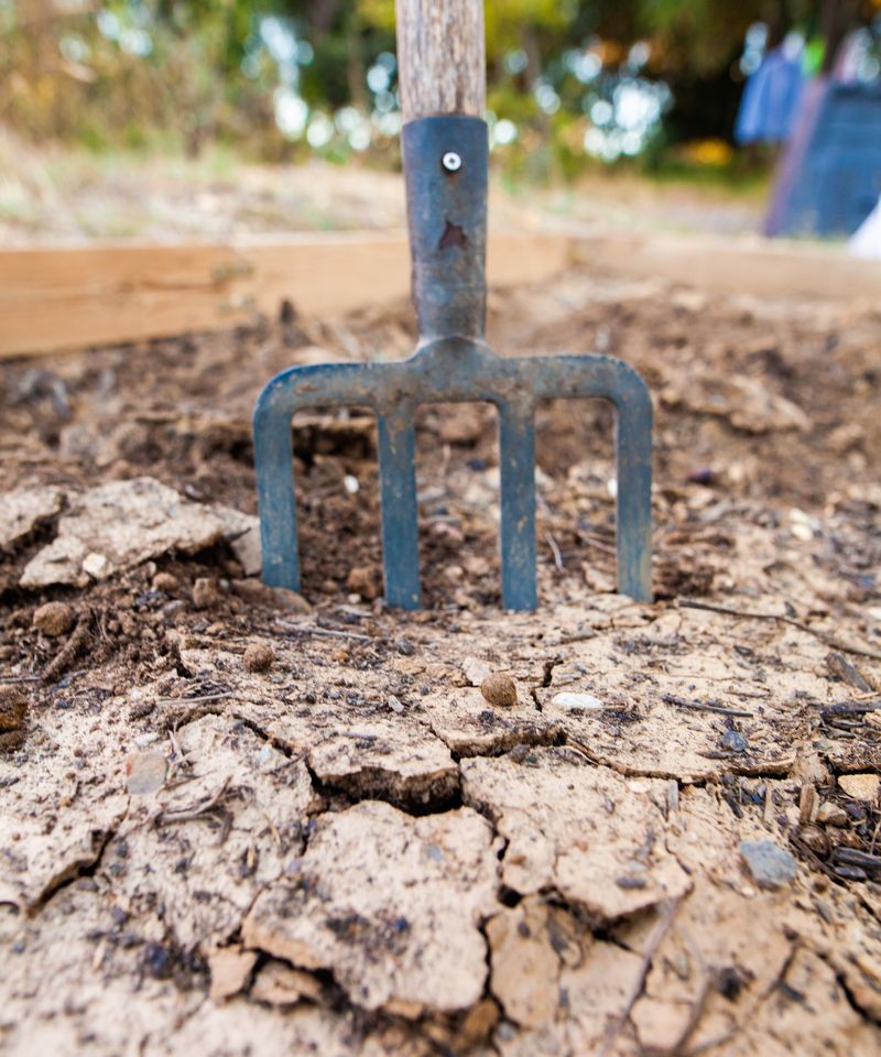Hot Surface Soil Dries Out Fast Hot Surface Soil Dries Out Fast