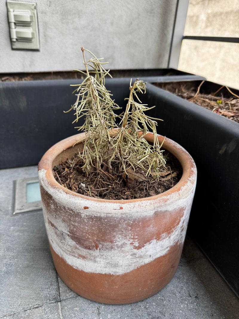 Hot Wind Pulls Water From Pots Quickly