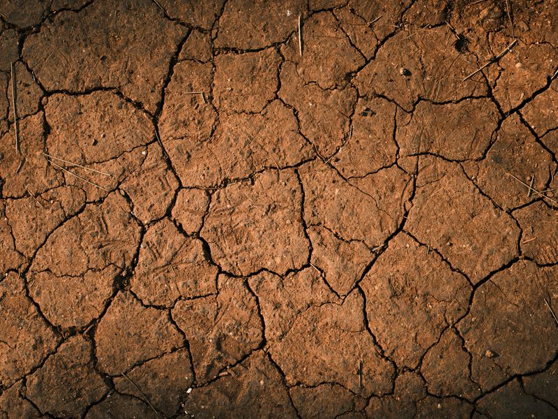 How Compacted Soil Makes The Problem Worse How Compacted Soil Makes The Problem Worse