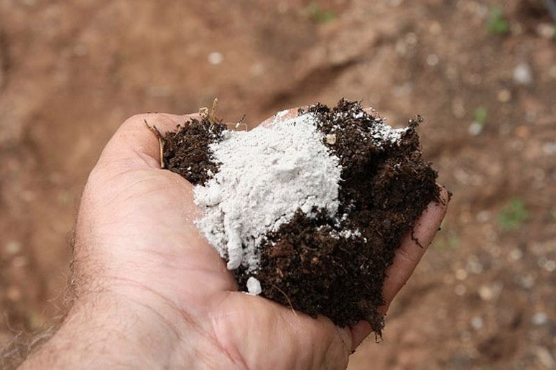 How Gypsum Improves Soil Structure Without Changing pH