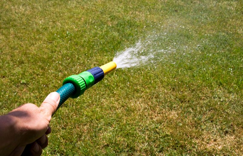 How Often And How Deeply You Should Actually Water