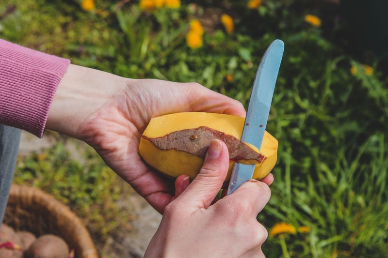 How Potato Skins And Elephant Grass Create A Plastic-Free Pole How Potato Skins And Elephant Grass Create A Plastic-Free Pole