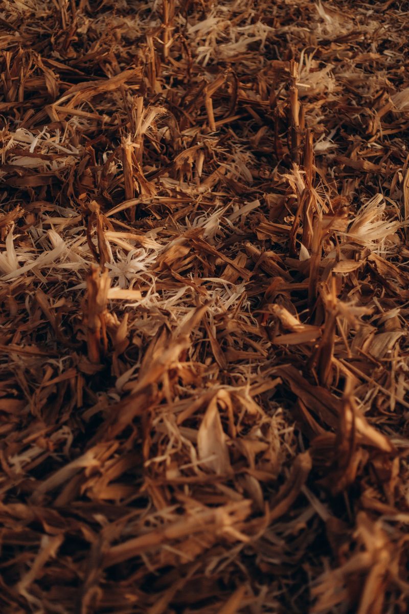 How Thick Mulch Fights Heavy Clay Soil Problems How Thick Mulch Fights Heavy Clay Soil Problems