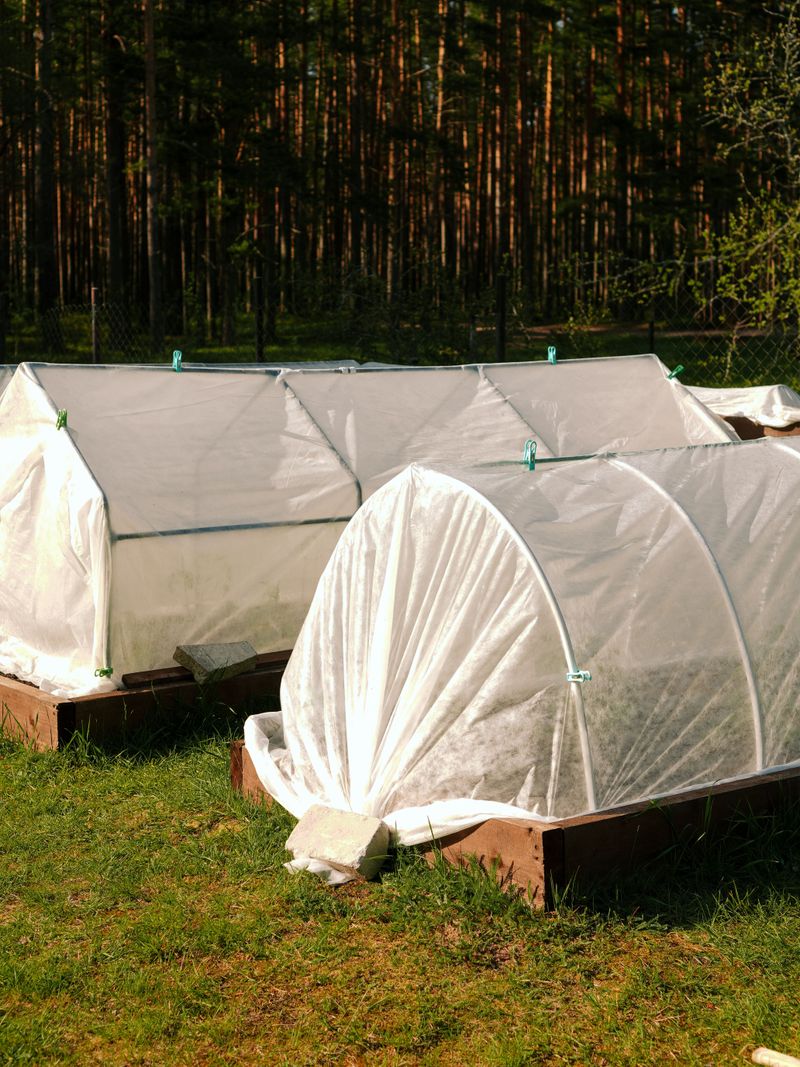 How This Habit Extends Your Growing Season How This Habit Extends Your Growing Season