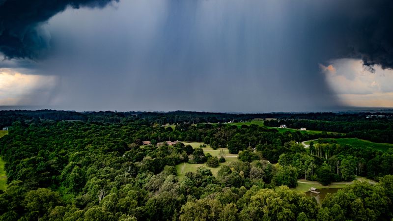 How Thunderstorms Turn Spores Into A Bigger Problem How Thunderstorms Turn Spores Into A Bigger Problem