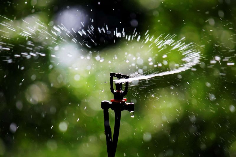 How To Adjust Your Watering Schedule Around Storm Hours How To Adjust Your Watering Schedule Around Storm Hours