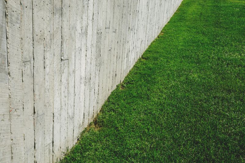 How To Help A Scalped Lawn Recover Before Winter