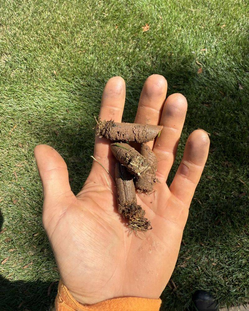 How To Tell If Delaware Soil Is Compacted Enough To Need It
