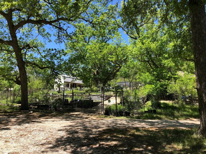 Hunt Native Options At Natives Of Texas Nursery