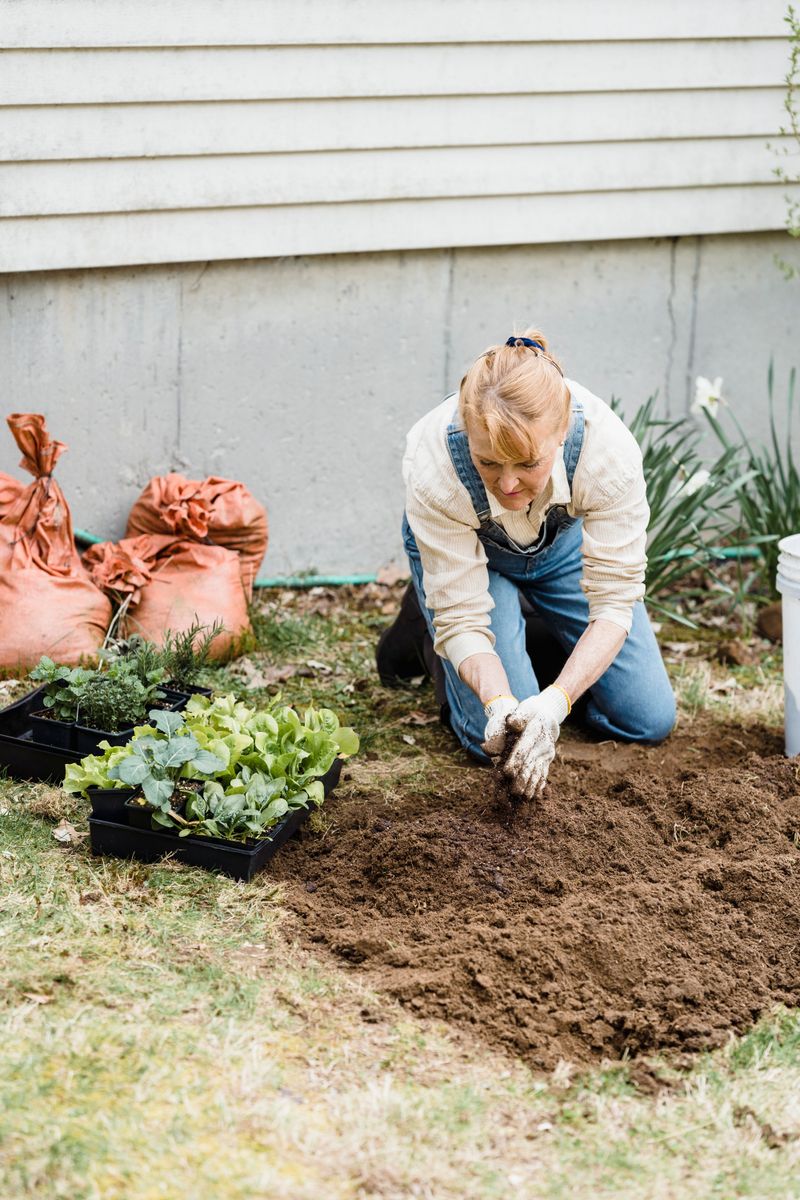 Improve Soil Drainage Now