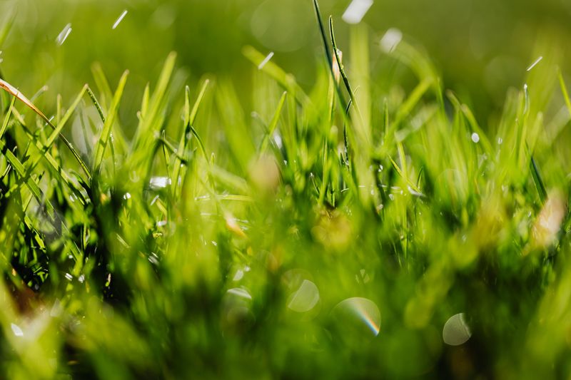 Improved Airflow Helps Roots Access Oxygen
