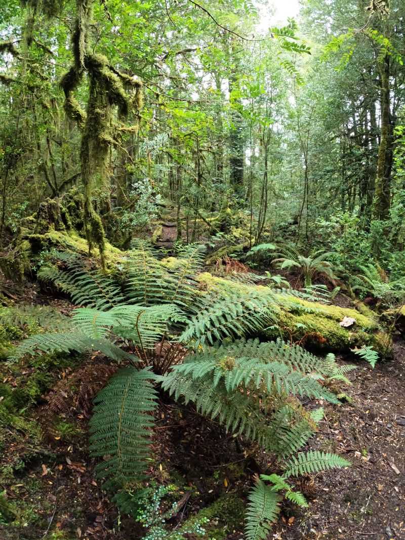 Inside The Rare Habitat Where It Was Found Inside The Rare Habitat Where It Was Found