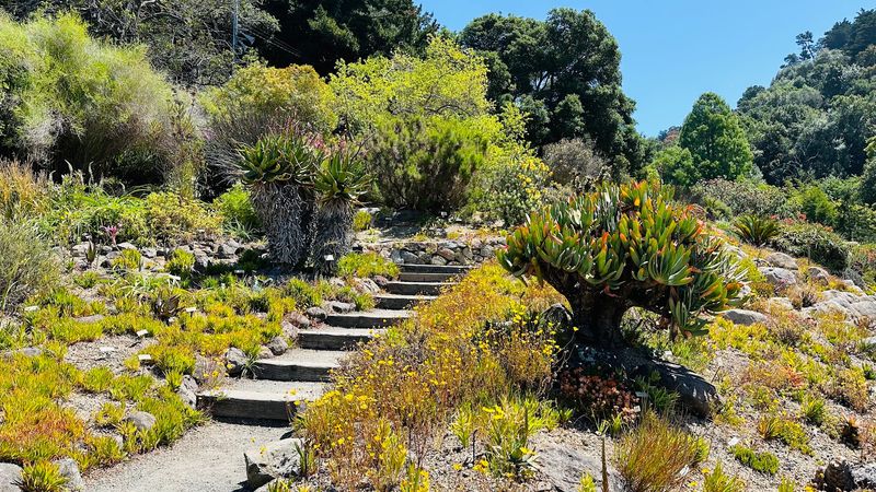 Inside The University Of California Botanical Garden