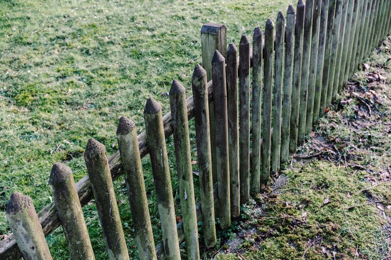 Install Sturdy Fencing Around The Perimeter Install Sturdy Fencing Around The Perimeter