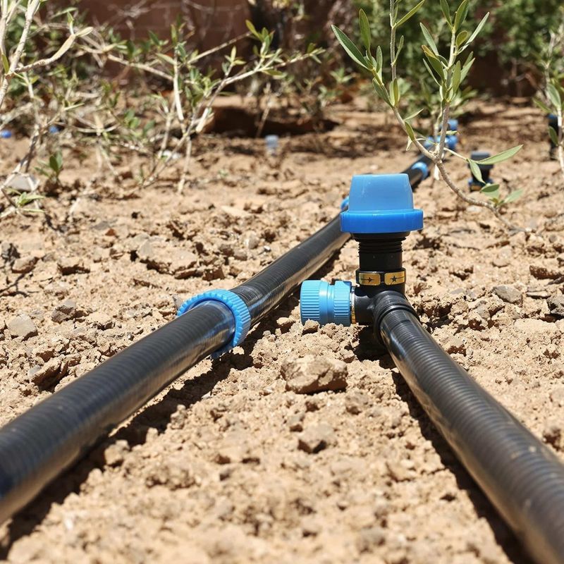 Irrigation Needs Attention Before New Roots Arrive Irrigation Needs Attention Before New Roots Arrive
