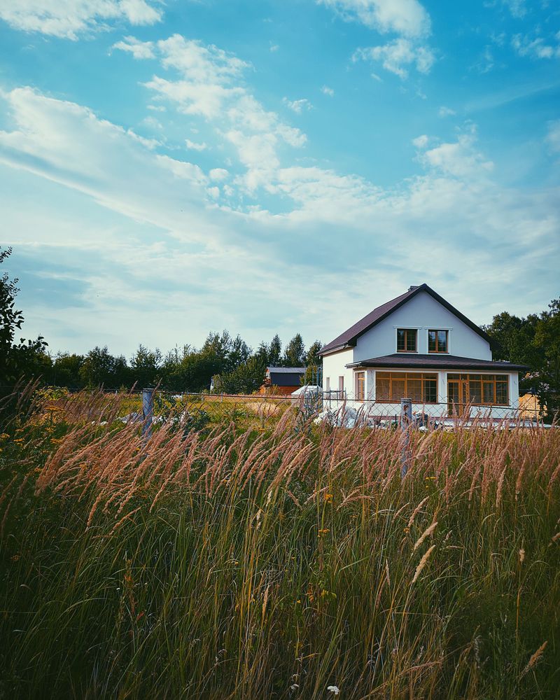 Is A Prairie Lawn Right For Your Yard