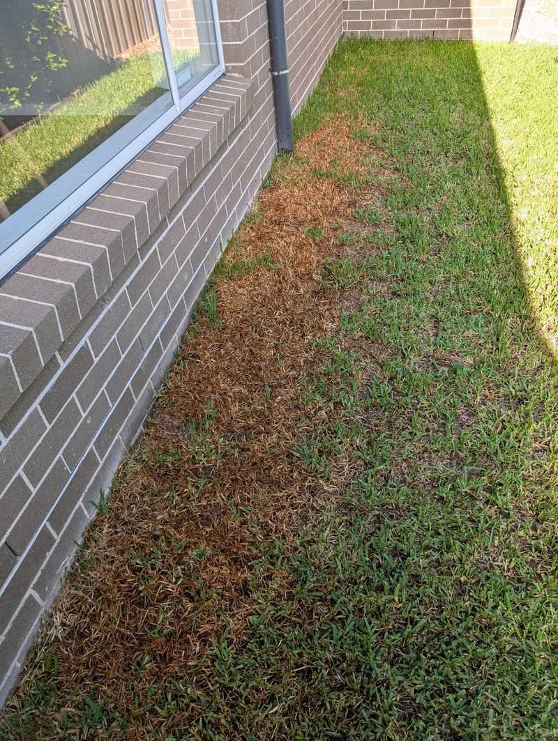 Isolate The Brown Zone From Healthy Turf Isolate The Brown Zone From Healthy Turf