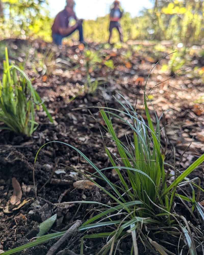 It Starts Earlier Than Most Gardeners Realize It Starts Earlier Than Most Gardeners Realize
