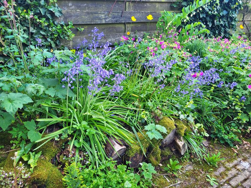 Keep A Damp Corner From Drying Out