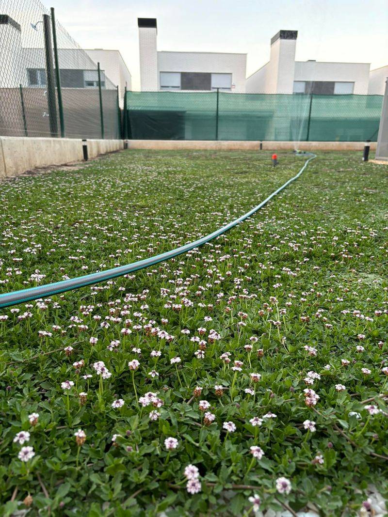 Keep Bare Gaps Moist While They Close