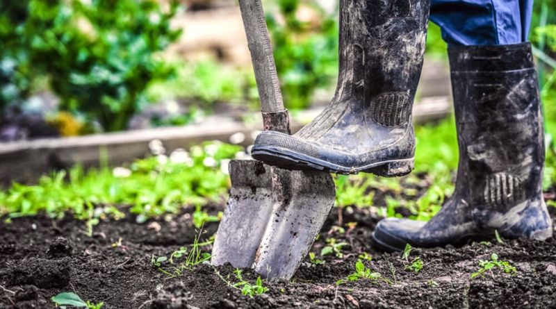 Keep Boots Off Saturated Soil