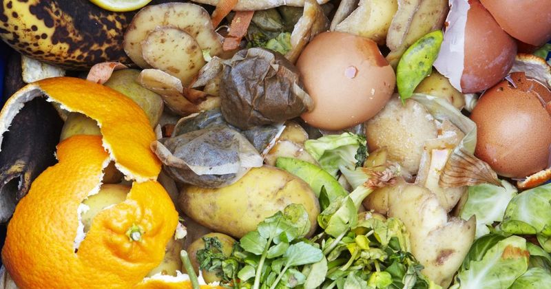 Keep Dairy And Greasy Scraps Out Keep Dairy And Greasy Scraps Out