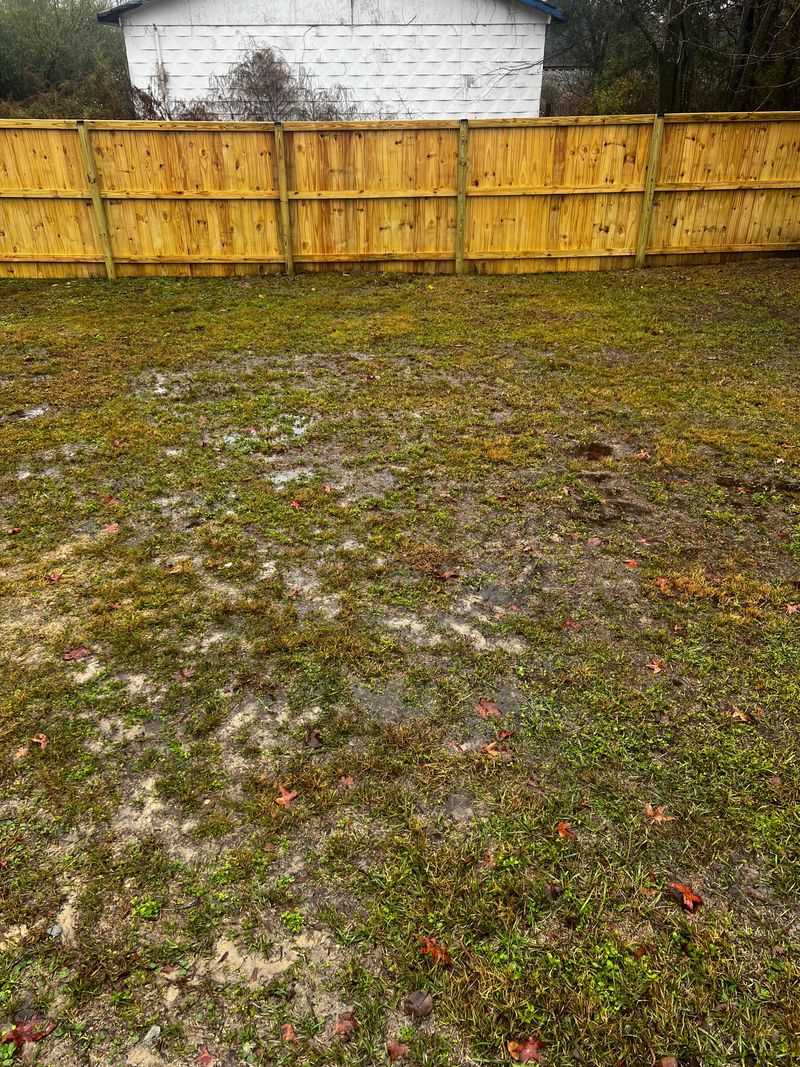 Keep Foot Traffic Off Soggy Beds Keep Foot Traffic Off Soggy Beds