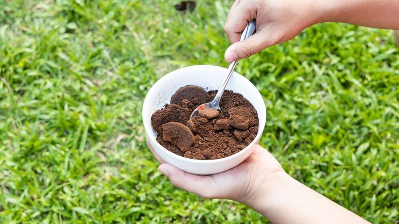 Keep Fresh Grounds Away From Seed Rows