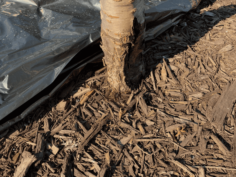Keep Going Until The Soil Is Wet Deep Down