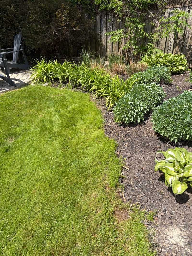 Keep Grass Short Around The Yard Edges Keep Grass Short Around The Yard Edges