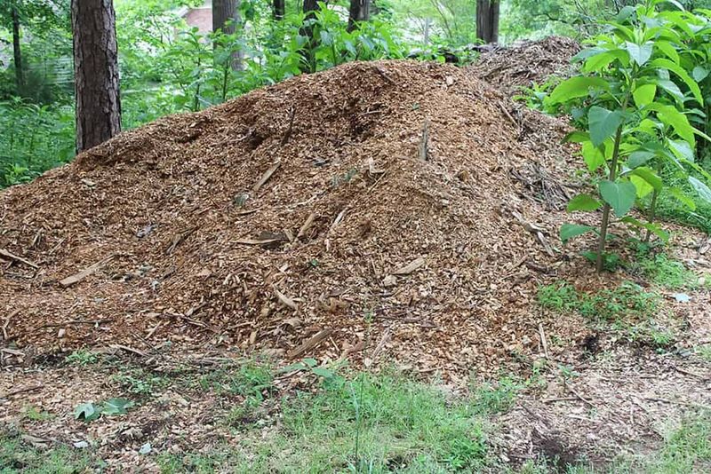 Keep Mulch Near Three Inches