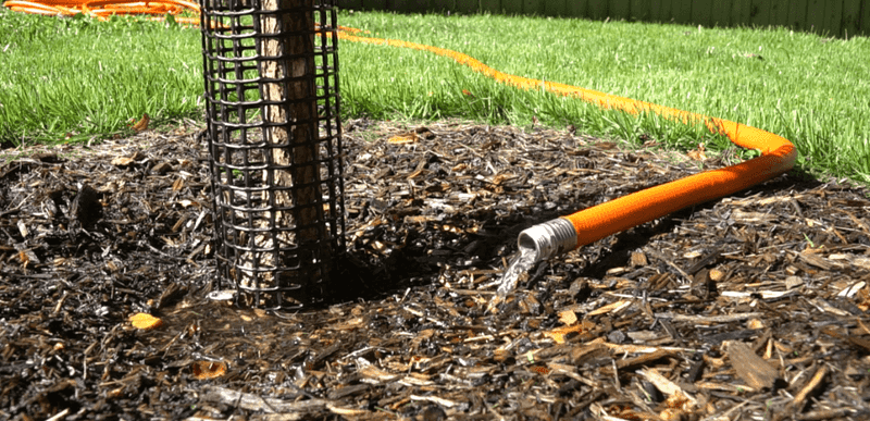 Keep Mulch Over The Soaker Hose To Hold Moisture Longer Keep Mulch Over The Soaker Hose To Hold Moisture Longer