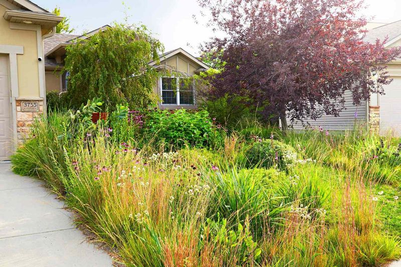 Keep Native Beds Intentional And Code Compliant Keep Native Beds Intentional And Code Compliant