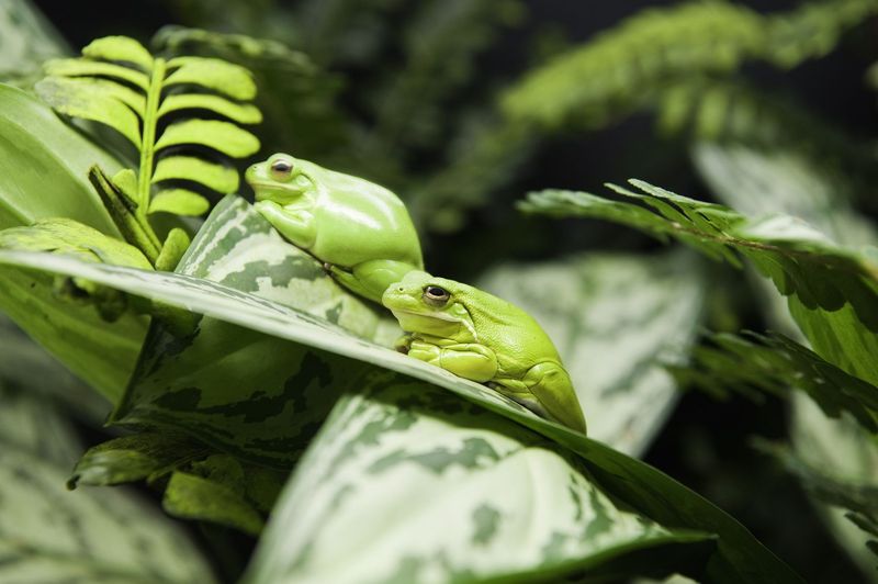 Keep Part Of Your Yard A Little Wild