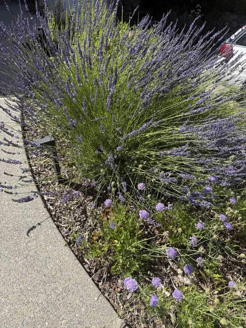 Keep The Root Zone On The Dry Side