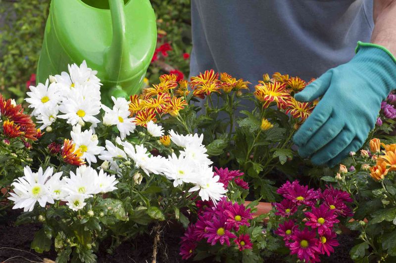 Keep The Soil Evenly Moist
